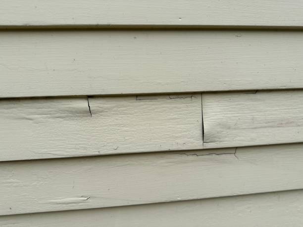 Best Shed Removal  in Yazoo City, MS